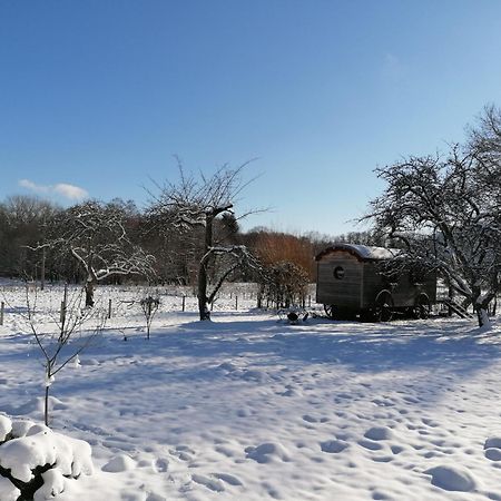 Roulotte Le Temps De Rever Bed & Breakfast Saint-Michel-sur-Meurthe Dış mekan fotoğraf