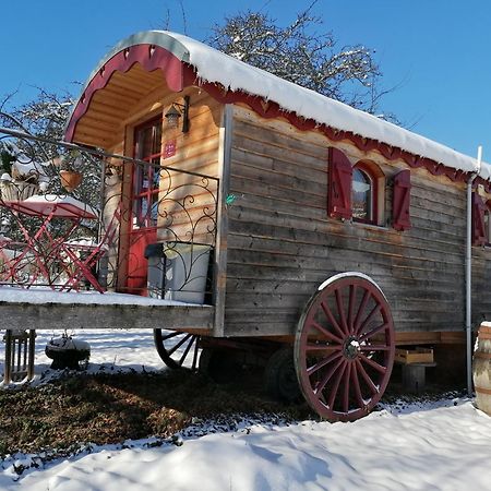 Roulotte Le Temps De Rever Bed & Breakfast Saint-Michel-sur-Meurthe Dış mekan fotoğraf