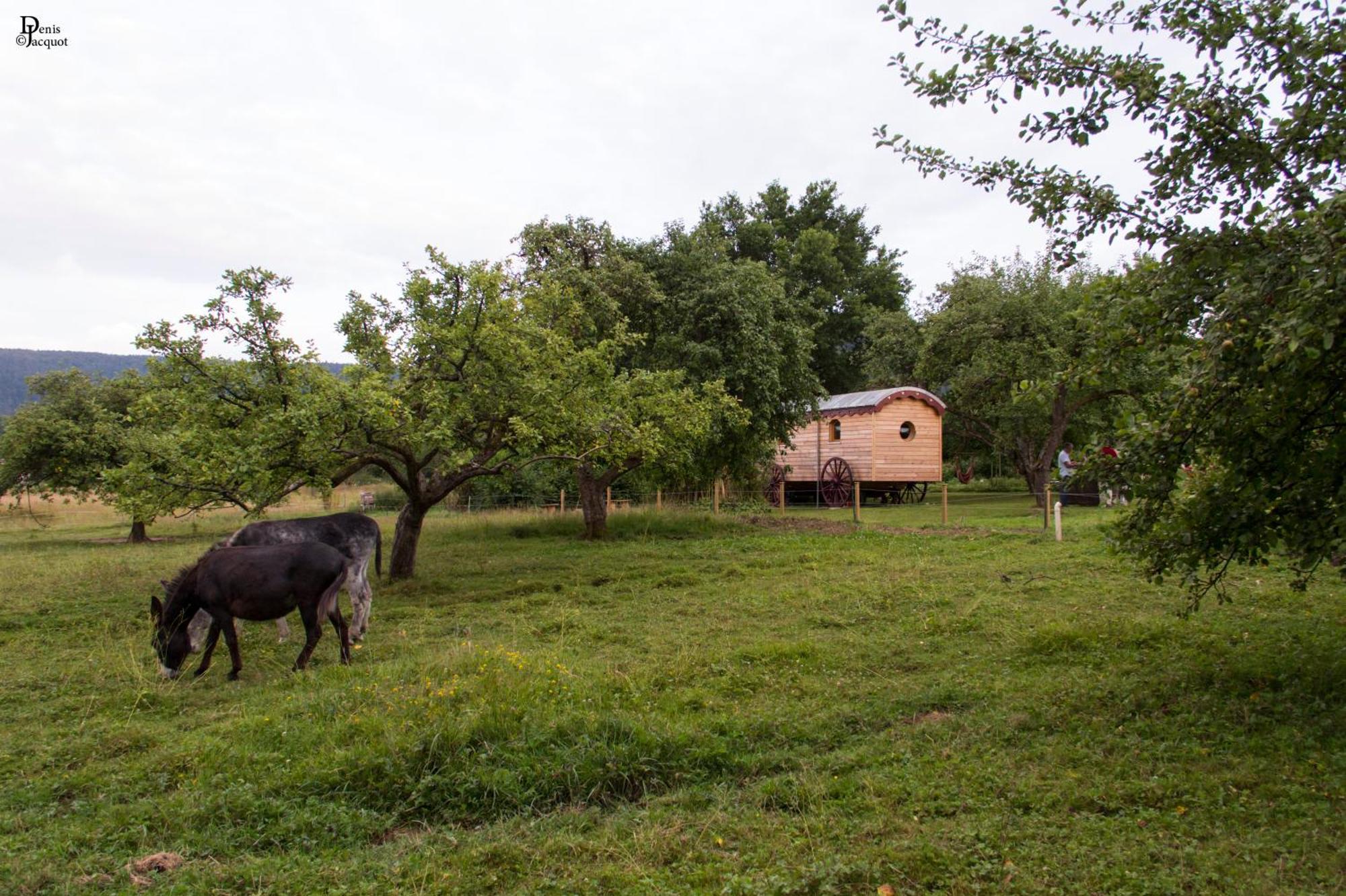 Roulotte Le Temps De Rever Bed & Breakfast Saint-Michel-sur-Meurthe Dış mekan fotoğraf