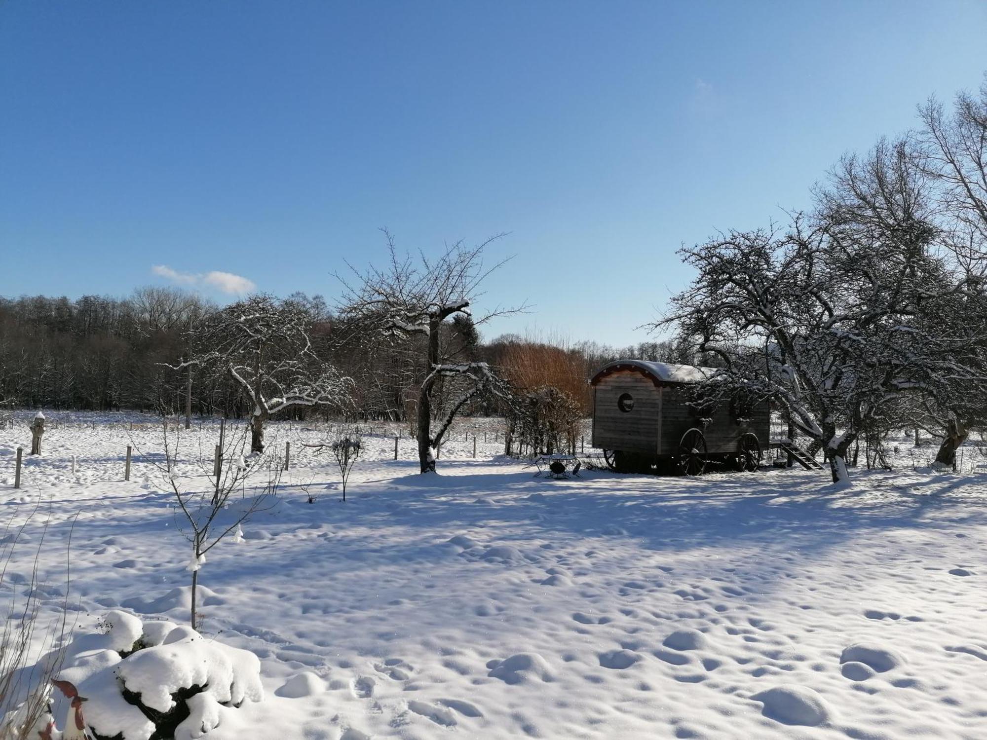 Roulotte Le Temps De Rever Bed & Breakfast Saint-Michel-sur-Meurthe Dış mekan fotoğraf